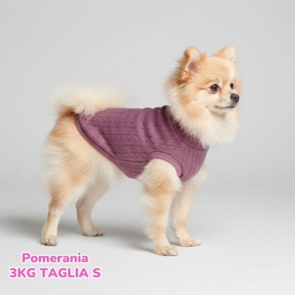 Maglione a Coste Lilla BL