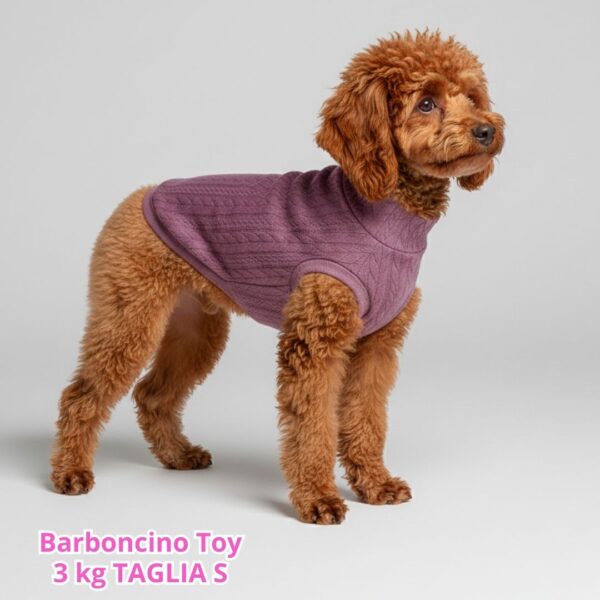 Maglione a Coste Lilla BL