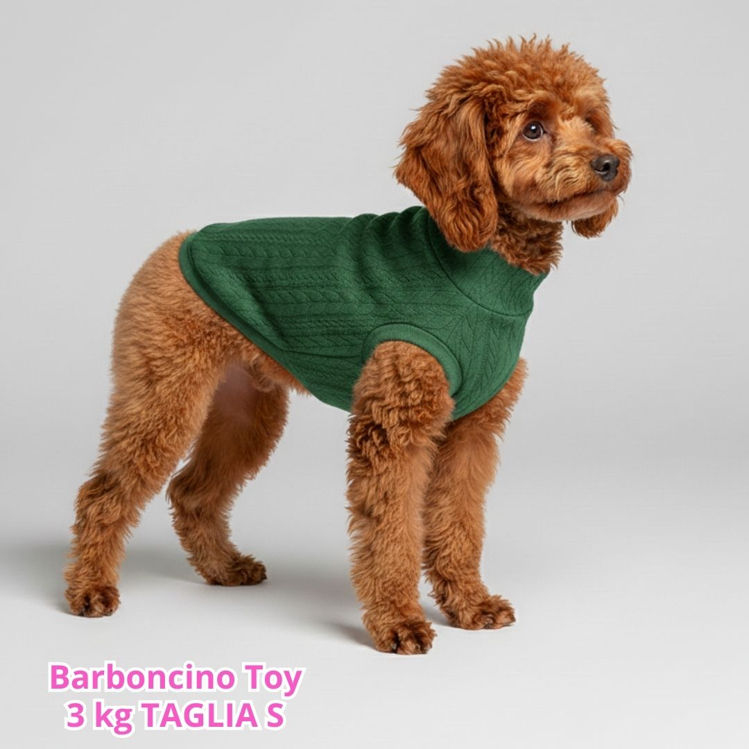 Maglione a Coste Verde