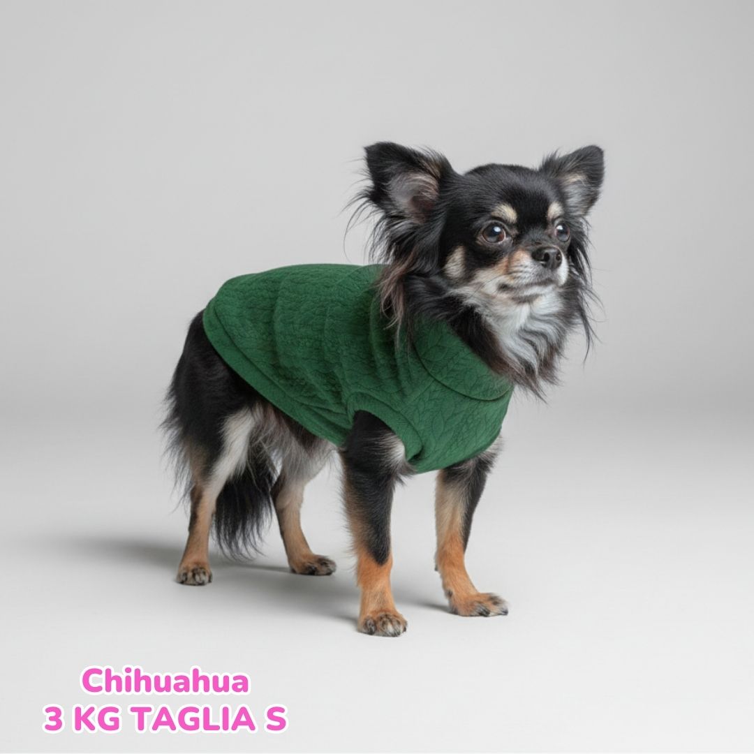 Maglione a Coste Verde