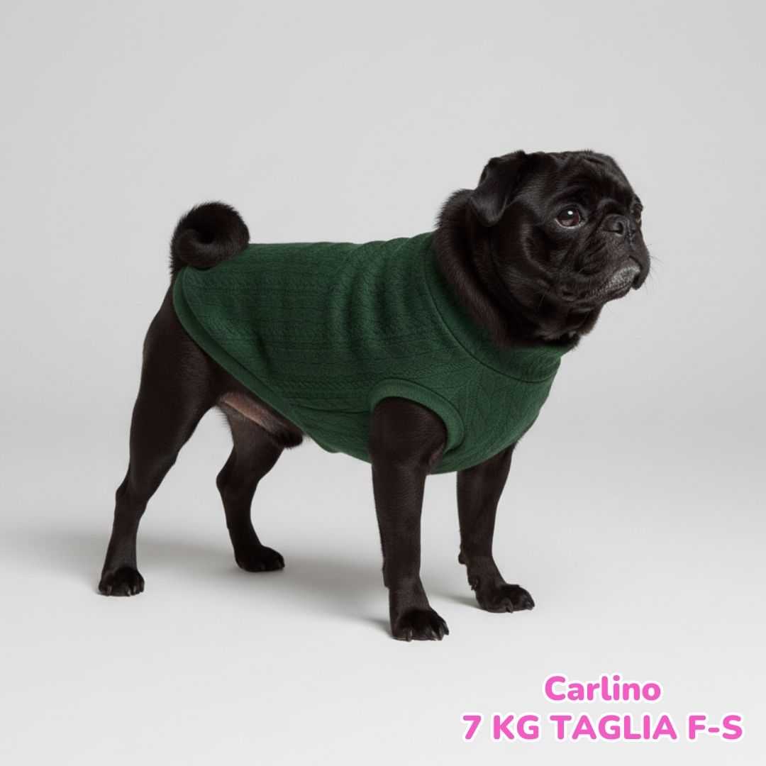 Maglione a Coste Verde