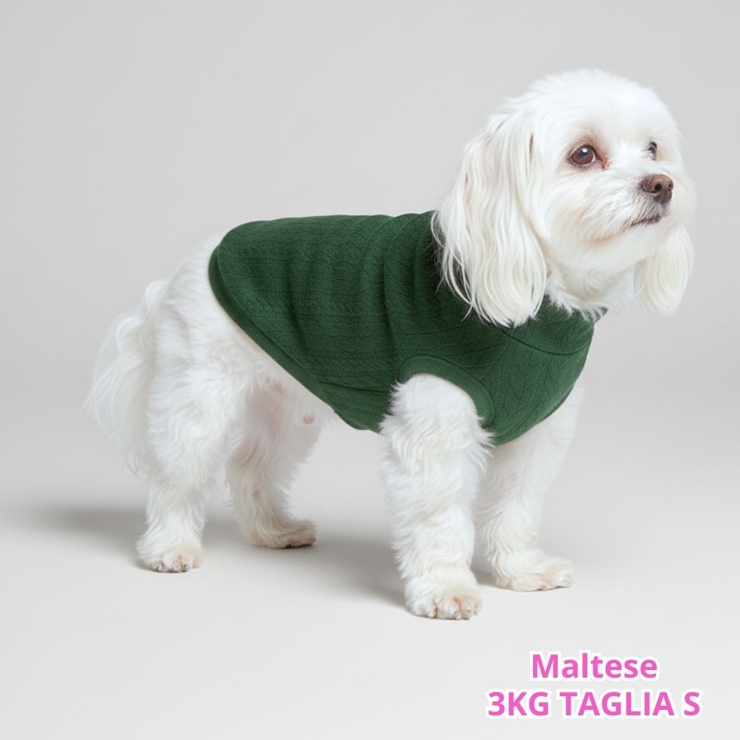 Maglione a Coste Verde