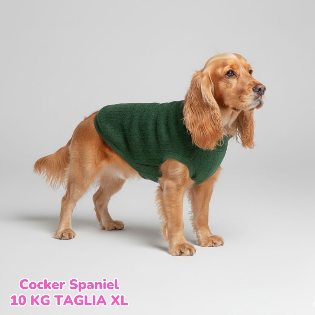 Maglione a Coste Verde