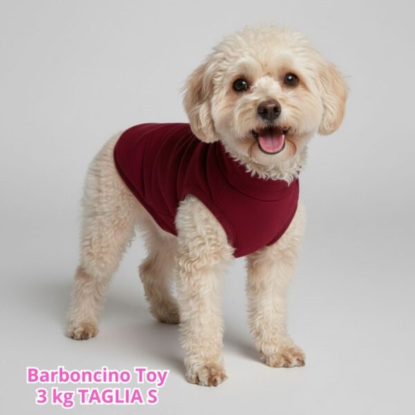 Felpa Invernale Garzata Bordeaux Felpa Invernale Garzata Bordeaux