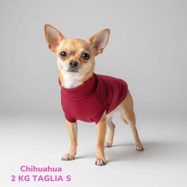 Felpa Invernale Garzata Bordeaux Felpa Invernale Garzata Bordeaux