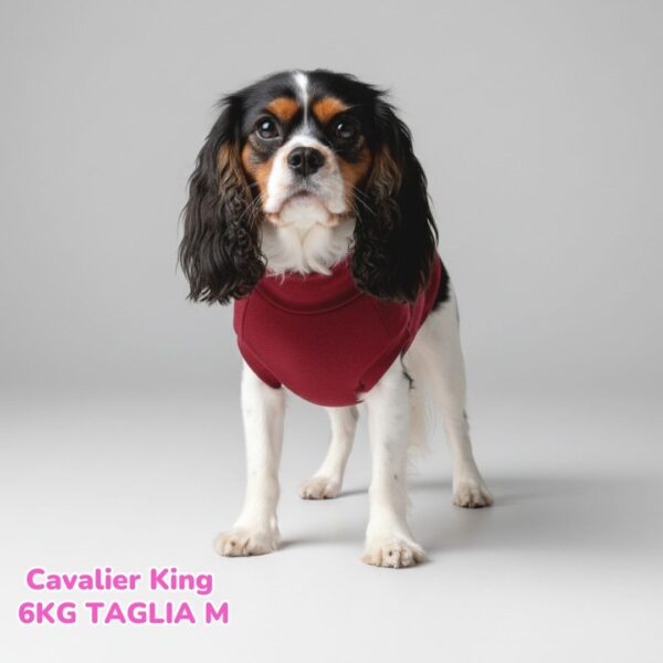 Felpa Invernale Garzata Bordeaux Felpa Invernale Garzata Bordeaux