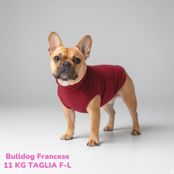 Felpa Invernale Garzata Bordeaux Felpa Invernale Garzata Bordeaux