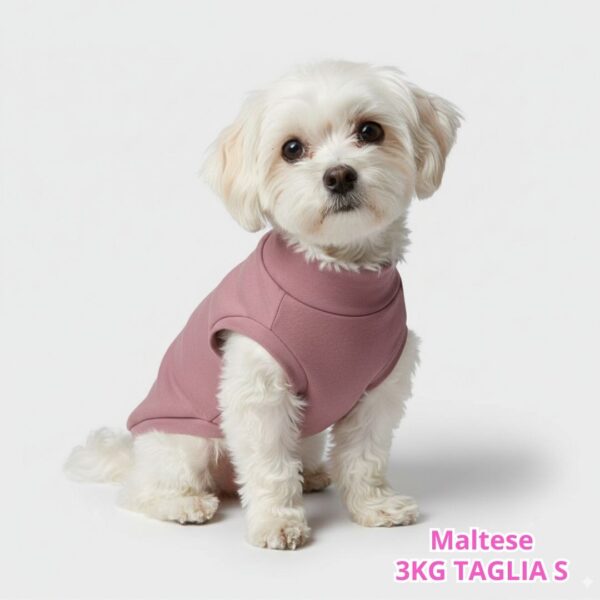 Felpa Invernale Garzata Rosa