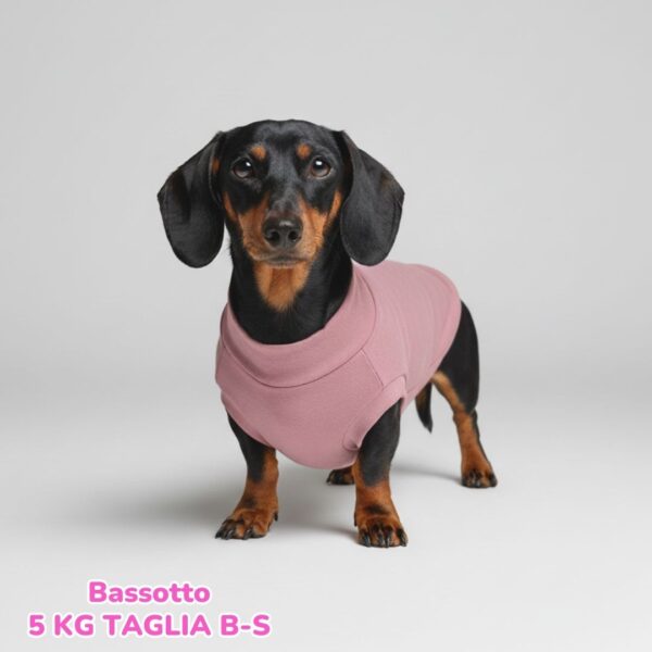 Felpa Invernale Garzata Rosa