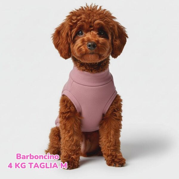 Felpa Invernale Garzata Rosa