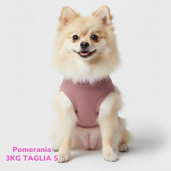 Felpa Invernale Garzata Rosa