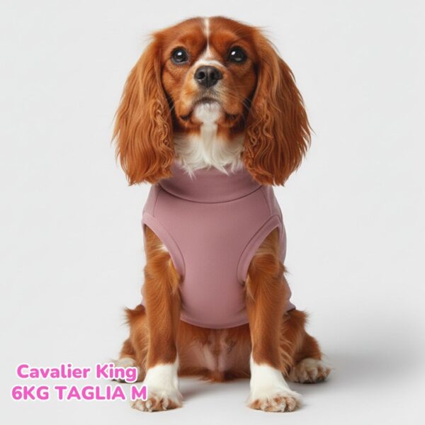 Felpa Invernale Garzata Rosa