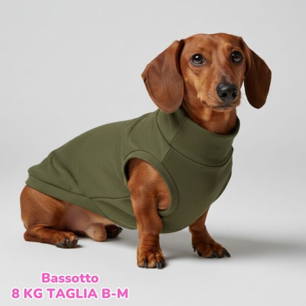 Felpa Invernale Garzata Verde Felpa Invernale Garzata Verde