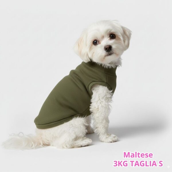 Felpa Invernale Garzata Verde Felpa Invernale Garzata Verde