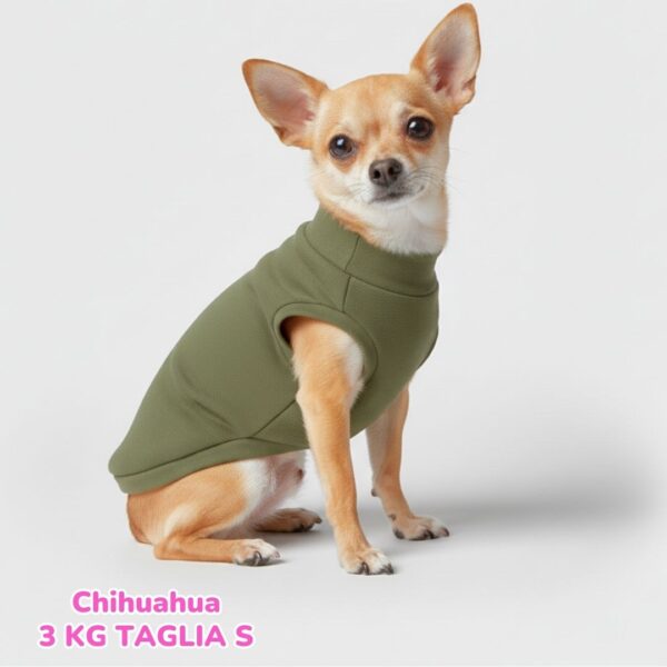 Felpa Invernale Garzata Verde Felpa Invernale Garzata Verde