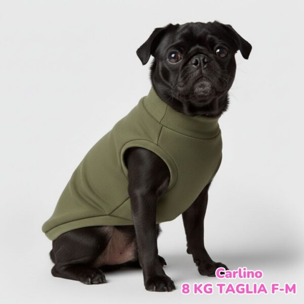 Felpa Invernale Garzata Verde Felpa Invernale Garzata Verde