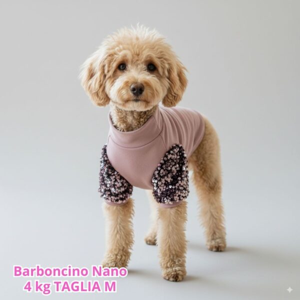 Felpa Invernale Garzata Paillettes Felpa Invernale Garzata Paillettes