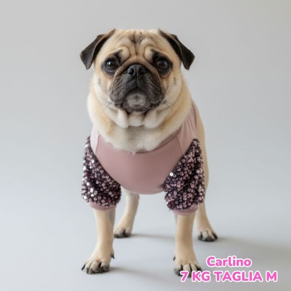 Felpa Invernale Garzata Paillettes Felpa Invernale Garzata Paillettes