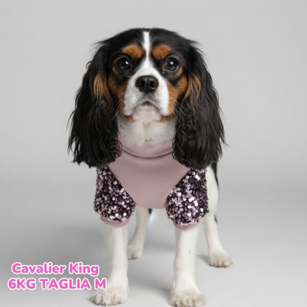 Felpa Invernale Garzata Paillettes Felpa Invernale Garzata Paillettes