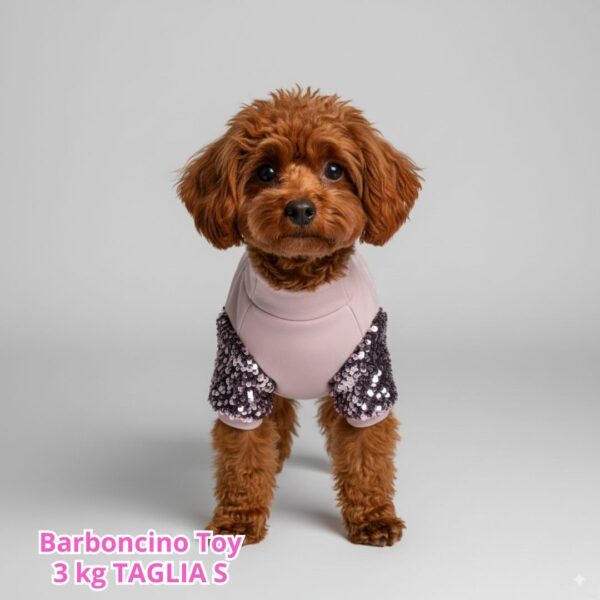 Felpa Invernale Garzata Paillettes Felpa Invernale Garzata Paillettes