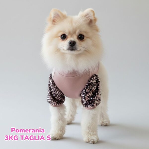 Felpa Invernale Garzata Paillettes Felpa Invernale Garzata Paillettes