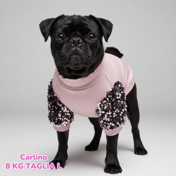 Felpa Invernale Garzata Paillettes Felpa Invernale Garzata Paillettes