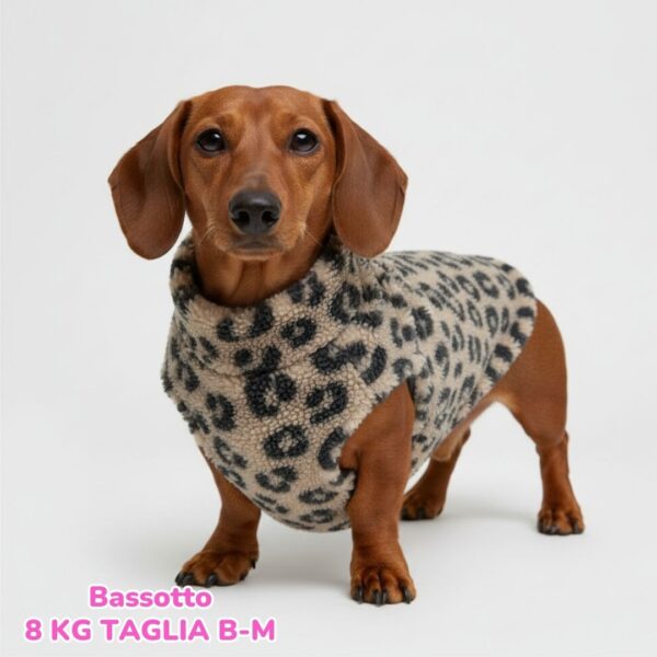 TEDDY LEOPARD