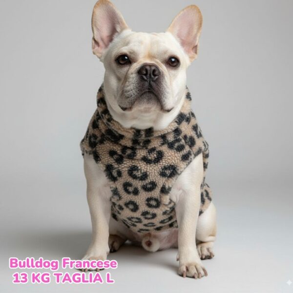 Teddy Leopard - Beige S