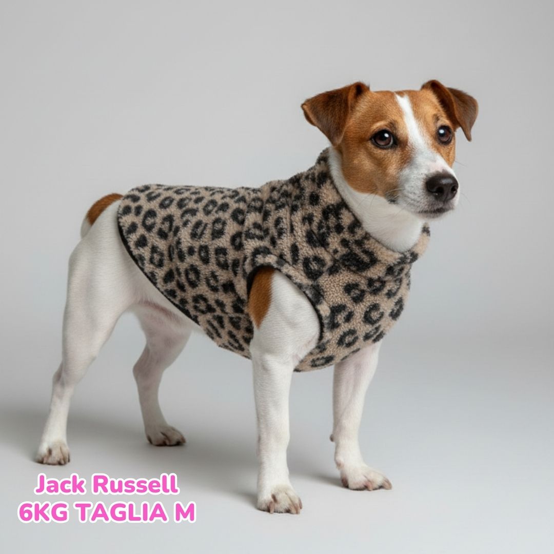 Teddy Leopard - Beige