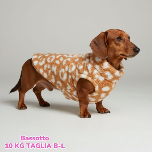 Teddy Leopard - Arancio BS