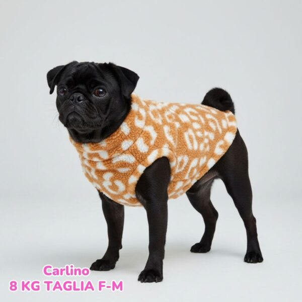 Teddy Leopard - Arancio BS