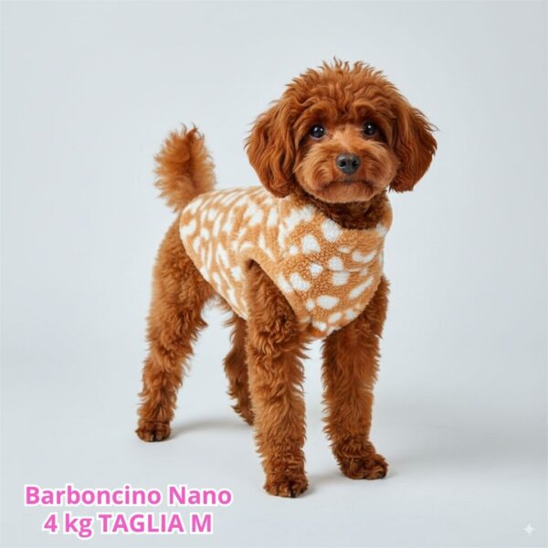 Teddy Leopard - Arancio BS