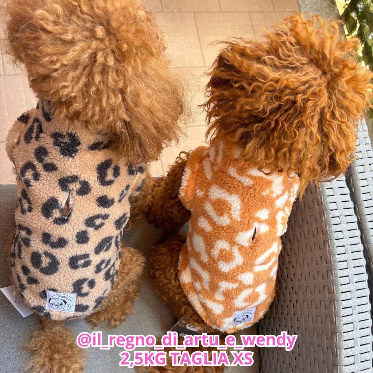Teddy Leopard - Arancio