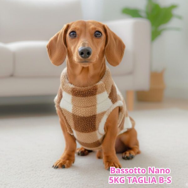 Teddy a Quadri - Marrone