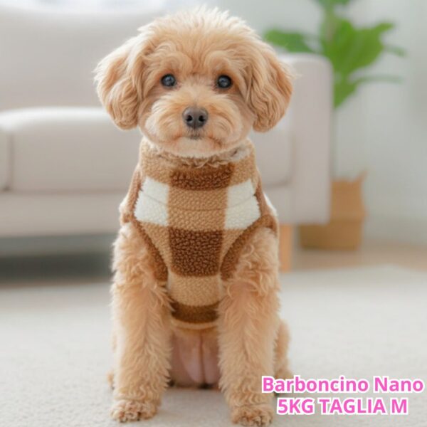 Teddy a Quadri - Marrone