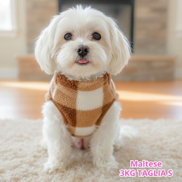 Teddy a Quadri - Marrone