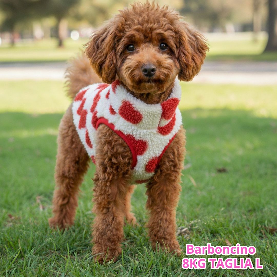 Teddy Cuori Rosso