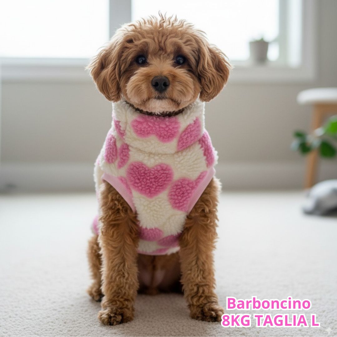Teddy Cuori Rosa