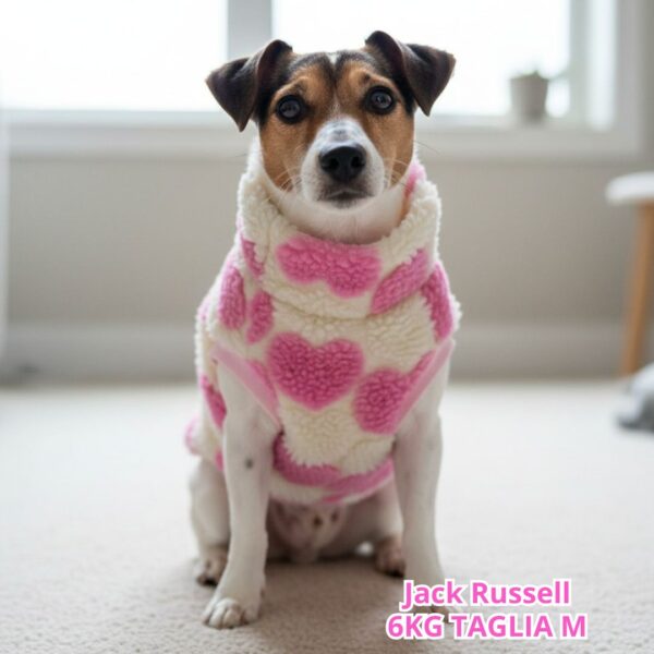 TEDDY ROSA