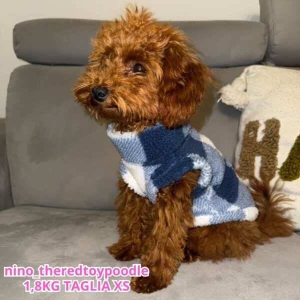 Teddy a Quadri - Blu