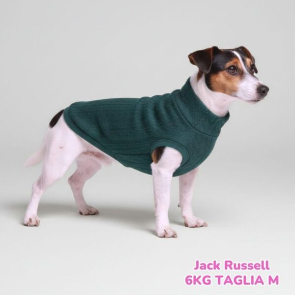 Maglione a Coste Verde Inglese BS FM