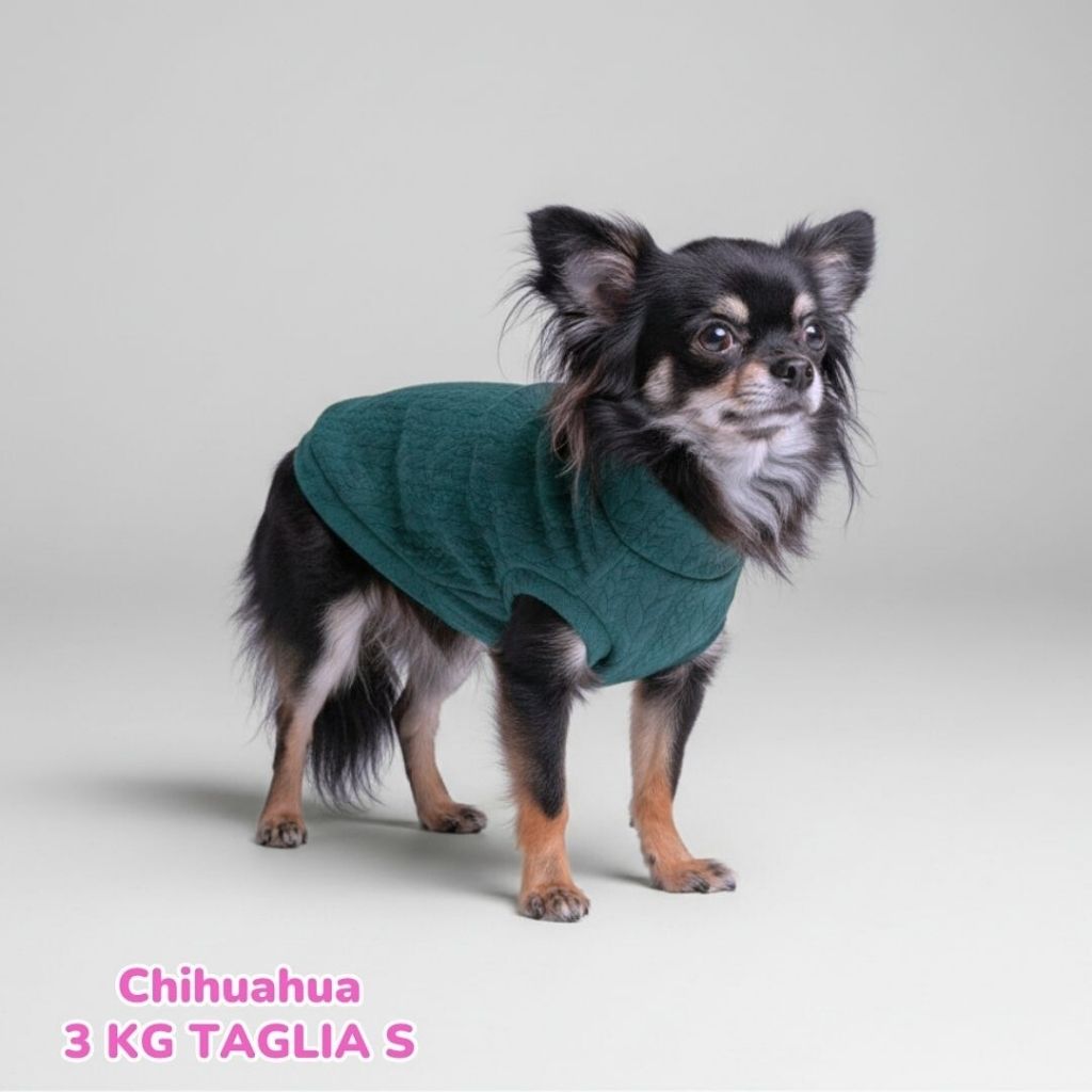 Maglione a Coste Verde Inglese