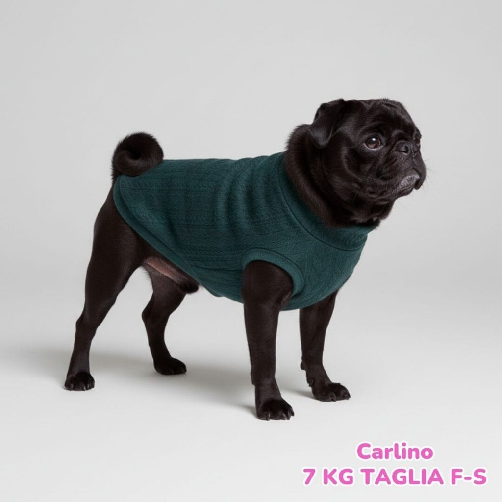 Maglione a Coste Verde Inglese