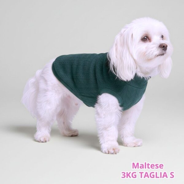 Maglione a Coste Verde Inglese BS FM