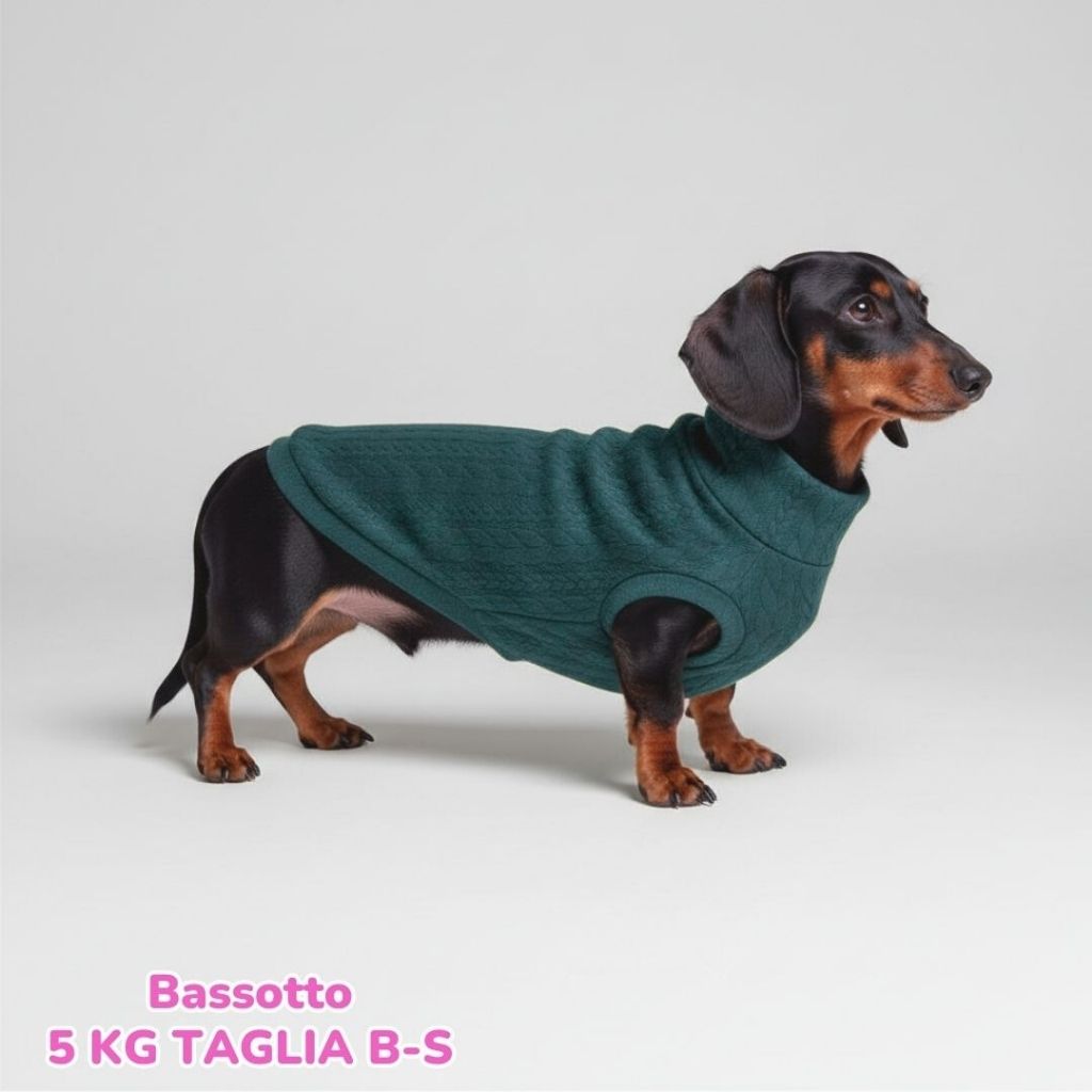 Maglione a Coste Verde Inglese