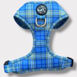 Fiocco Tartan Royal - Blue Fiocco Tartan Royal - Blue