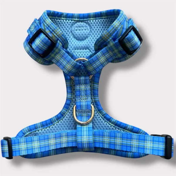 pettorina blu tartan 3 3