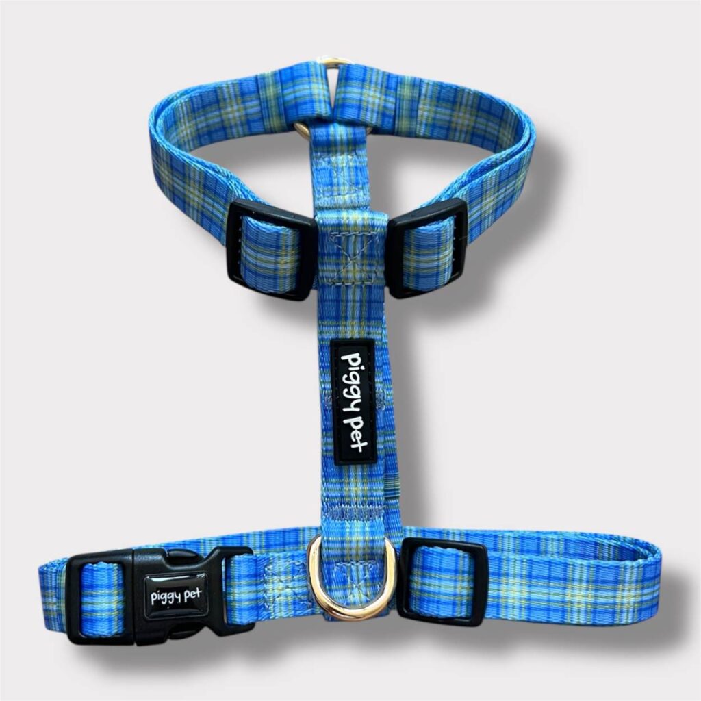 Pettorina ad H Tartan Royal - Blue