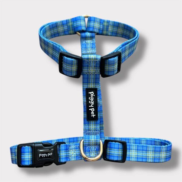 Pettorina ad H Tartan Royal - Blue