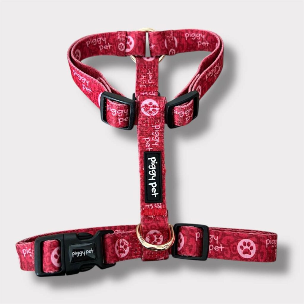 Pettorina ad H Monogram Rouge